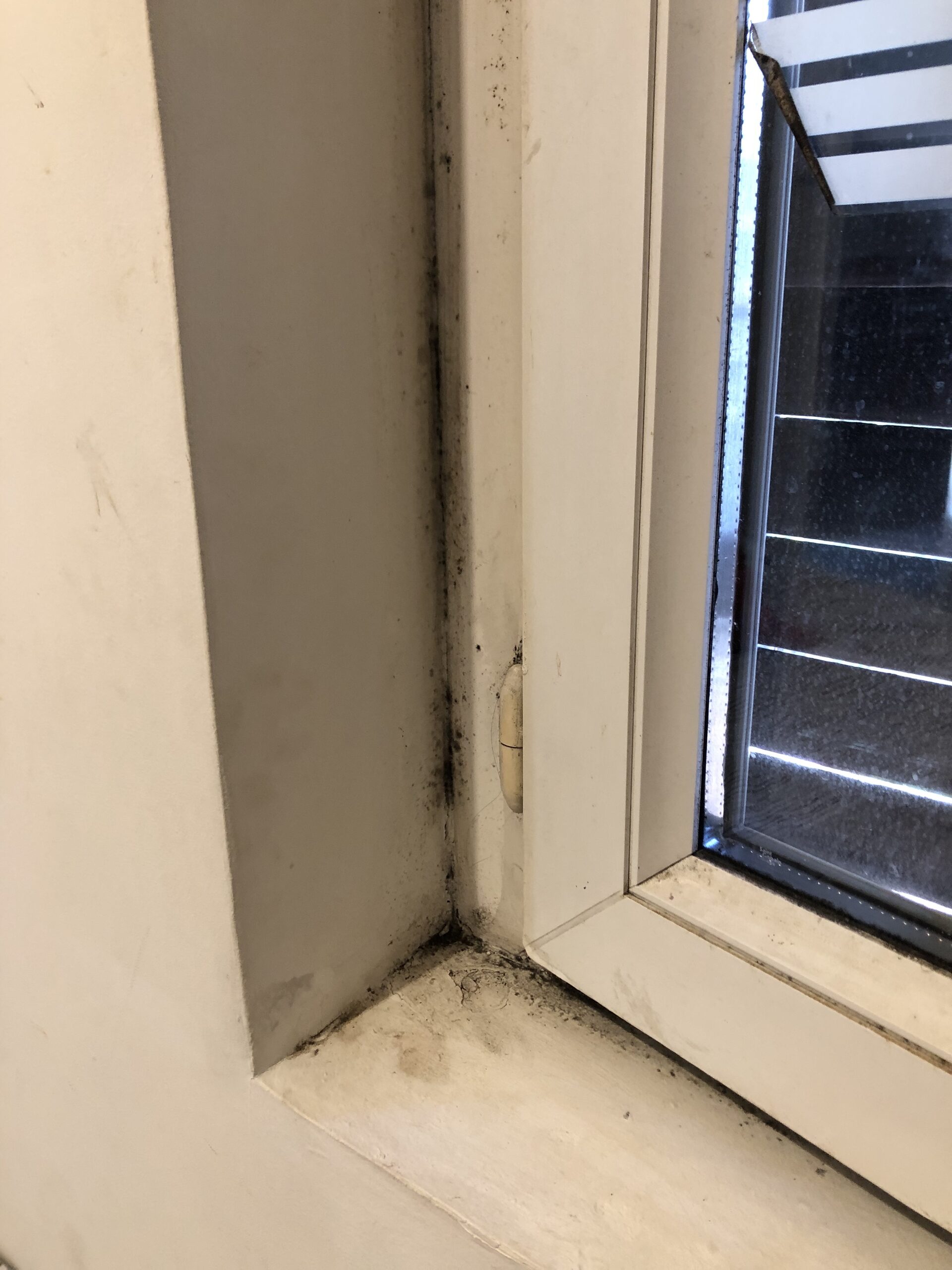 Des moisissures à l'angle d'une fenêtre dans un appartement loué par le couple Fayolle 1 rue Arago à Villeurbanne. ©MA/Rue89Lyon