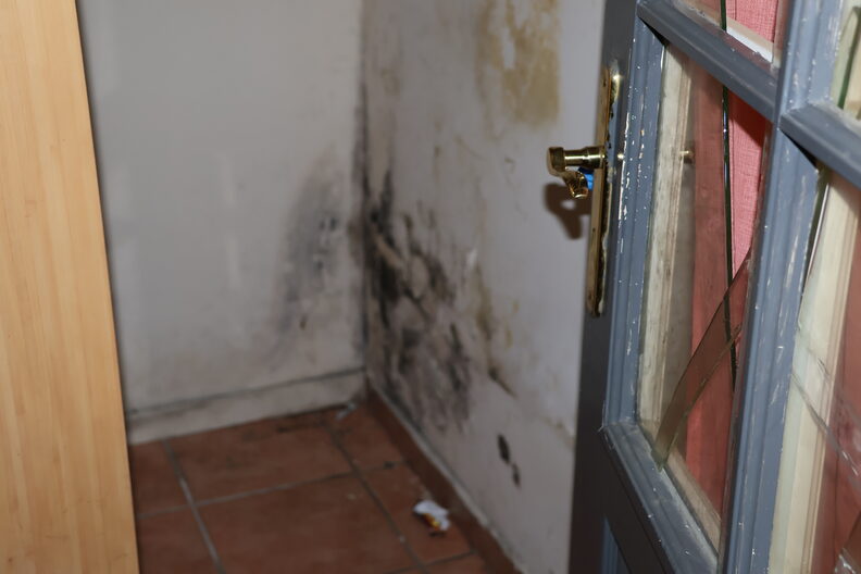 La moisissure dans la chambre d'Ivan, rue du Docteur Ollier à Villeurbanne. ©MP/Rue89Lyon