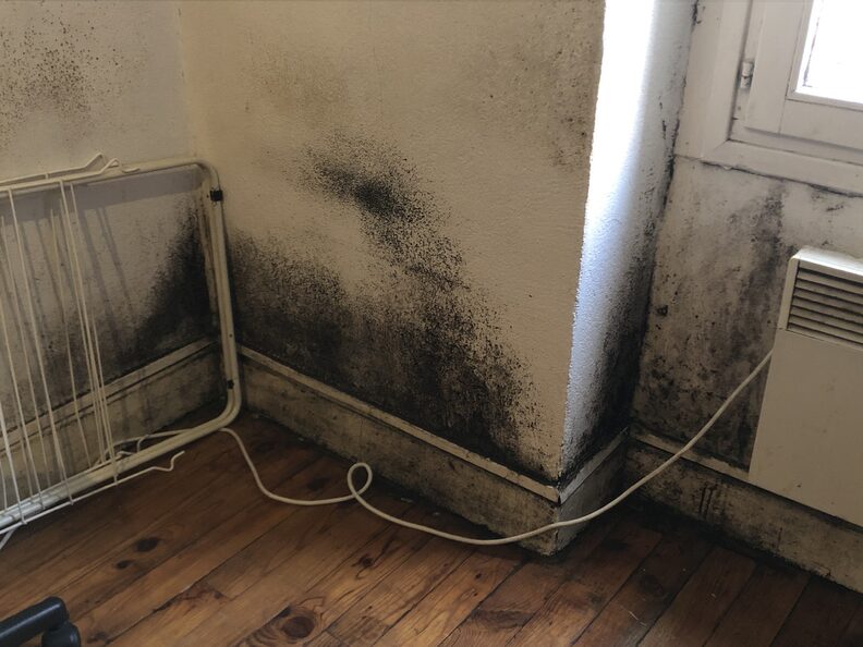 De larges moisissures apparaissent dans le coin de la chambre d'Olivier. ©MA/Rue89Lyon