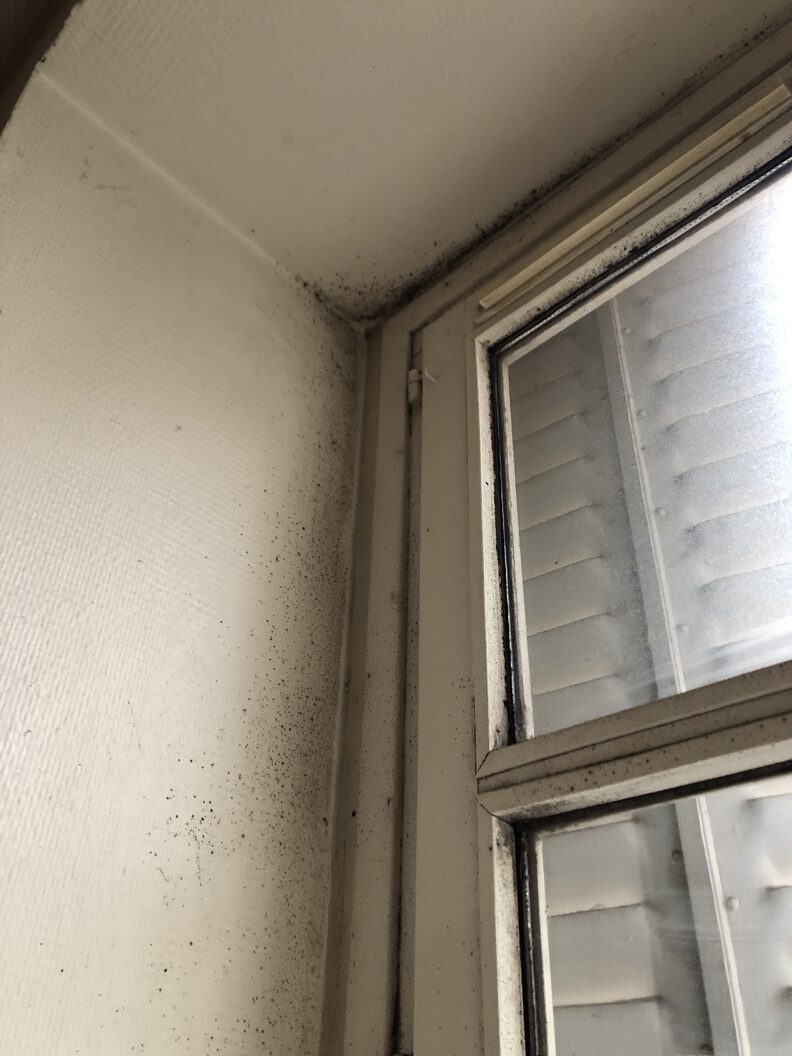Des moisissures apparaissent aux coins des fenêtres de l'appartement de Maria et Olivier au 55 rue Racine à Villeurbanne. ©Marie Allenou/Rue89Lyon