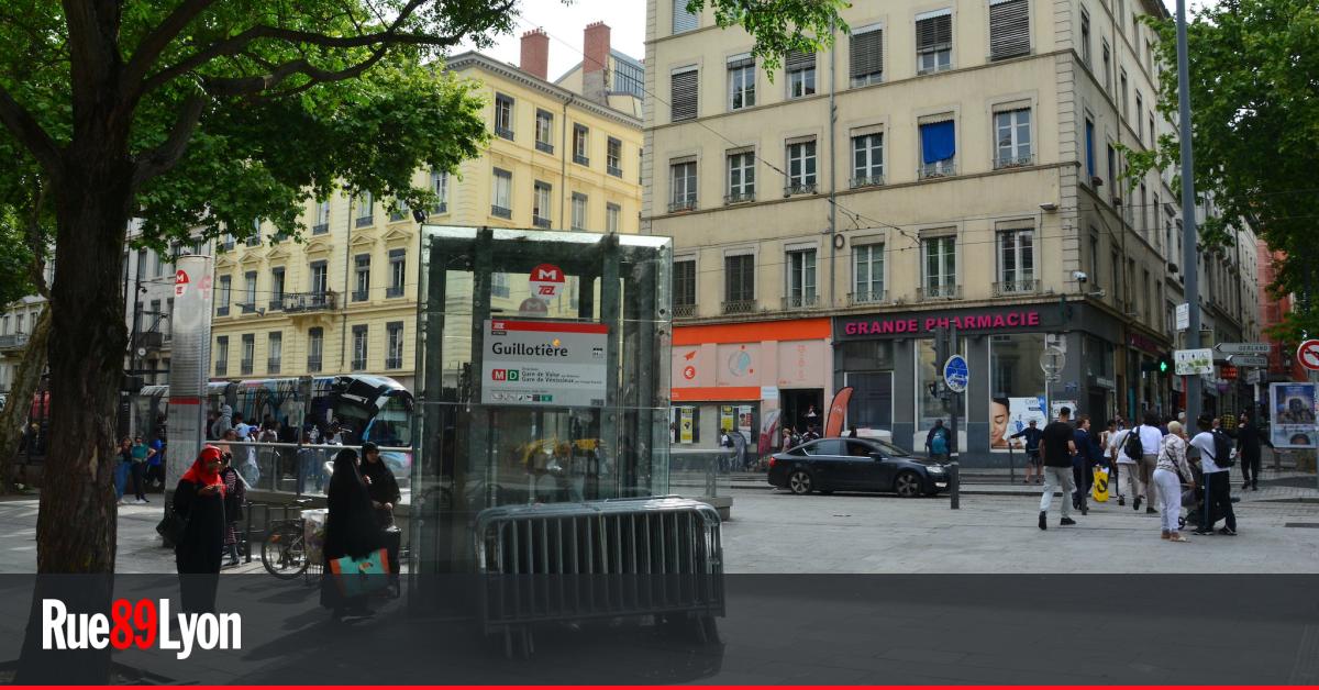 À la guillotière, les écologistes avancent leurs « résultats » autour de gabriel-péri 