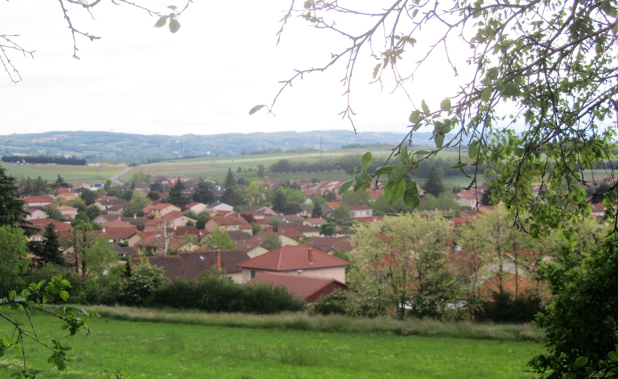 Lotissement à Mions (69)