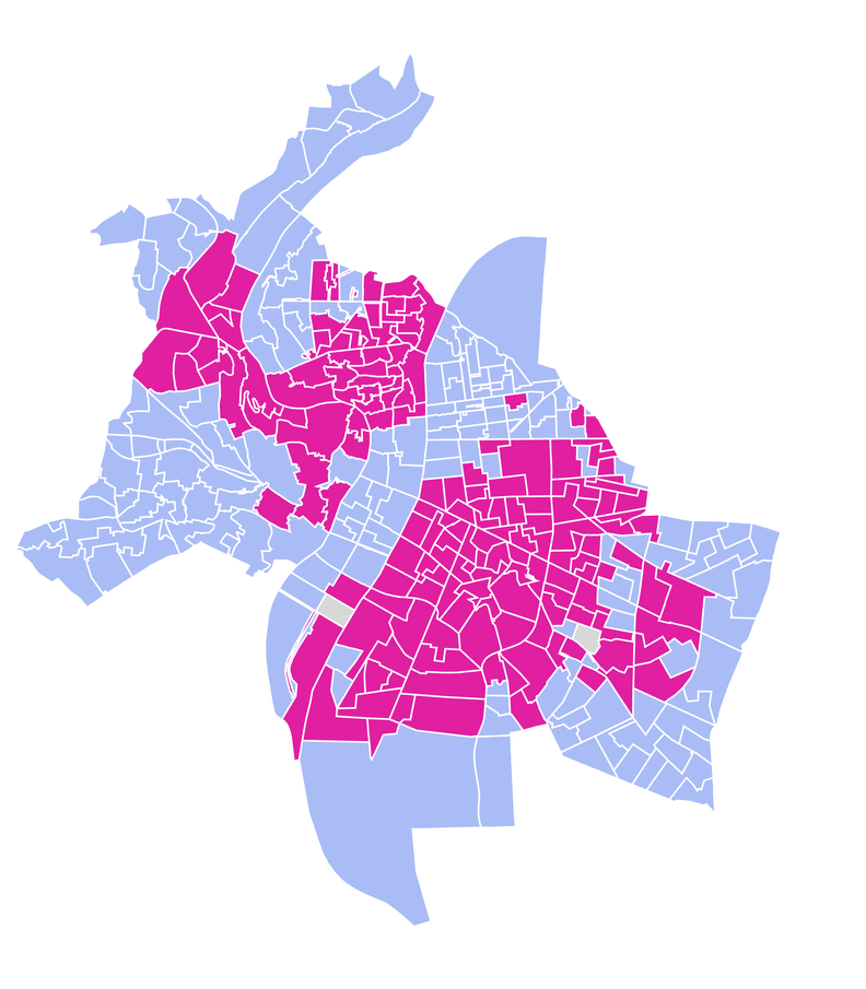 Aulas ou Doucet : comment ont voté vos voisins à Lyon ?